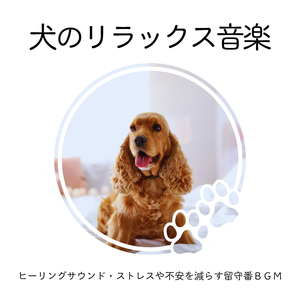 興奮抑える音楽