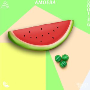 Flowers - AMOEBA Bootleg