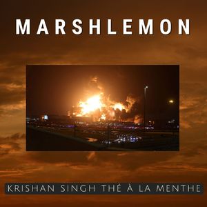 Krishan Singh Thé à la Menthe