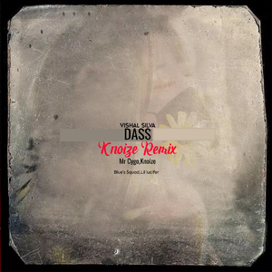 DASS (Knoize Remix)