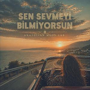 Sen Sevmeyi Bilmiyorsun