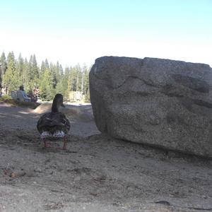 Love is hard to find