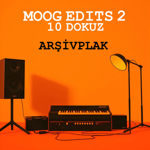 Yoğurt Koydum Dolaba