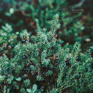 Crowberry Heath