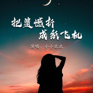 把遗憾折成纸飞机