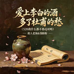 爱上李白的酒多了杜甫的愁（520我什么都不要dj对唱）