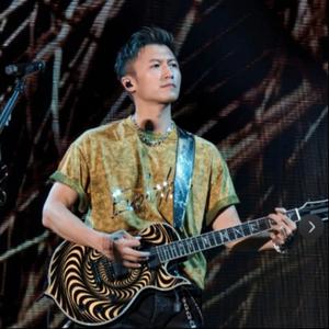 因为爱所以爱（谢霆锋live）