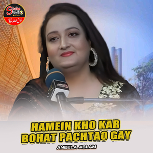 Hamein Kho Kar Bohat Pachtao Gay (1)