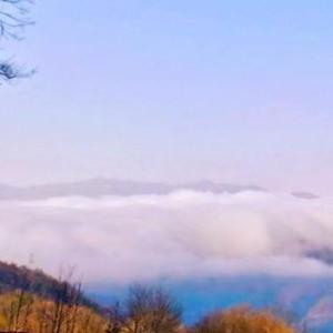 温柔你通通不接受
