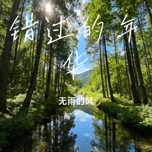 错过的年华