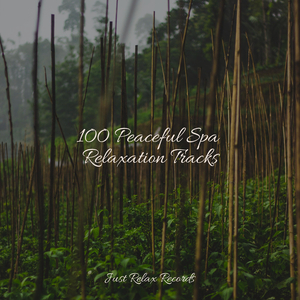 Whispers of the Mystical Void