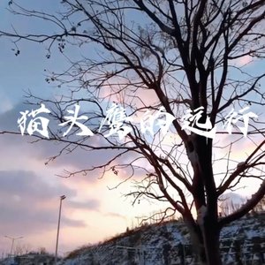 猫头鹰的远行
