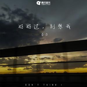 好好过，别想我