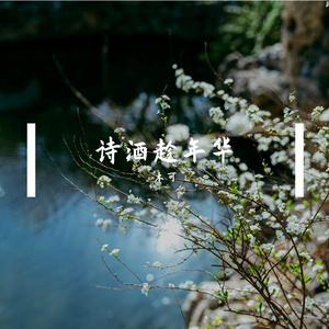 诗酒趁年华