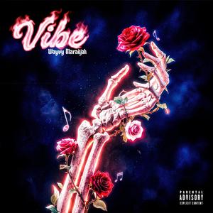 Vibe
