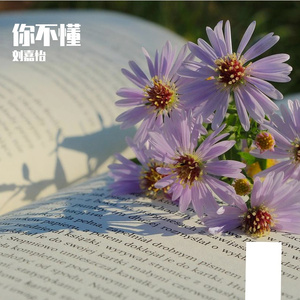 一厘米之外(原唱 本兮)