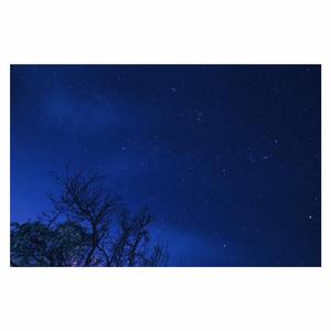 我已是夜空中的你