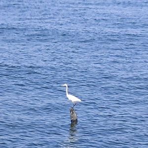 夏日（Prod.EVO MUSIC）