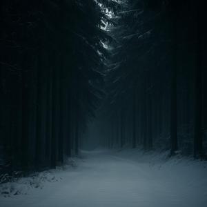 Dark Snowy Night (Cover)