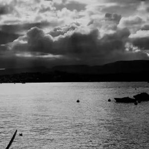 新希望点燃的激情