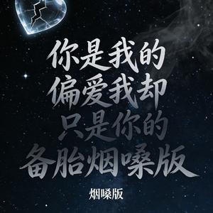 你是我的偏爱我却只是你的备胎烟嗓版.mp3