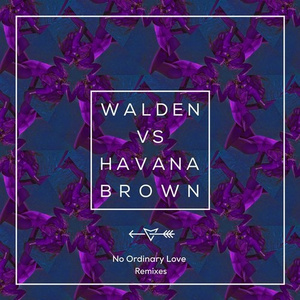 No Ordinary Love (Tim Mason Remix)