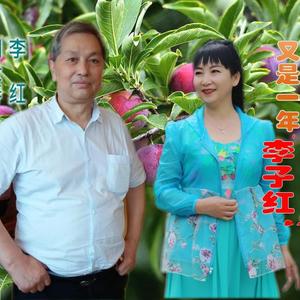 又是一年李子红 对唱