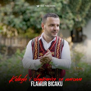 Kolazh i shqiperise se mesme