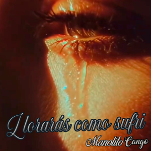 Lloraras Como Sufri