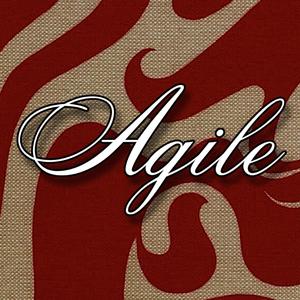 AgiIe