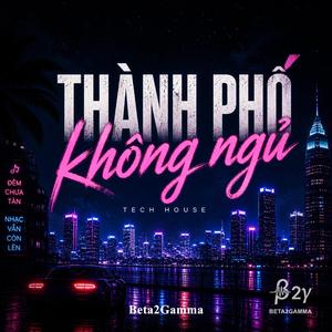 Thành Phố Không Ngủ (Tech House EDM)
