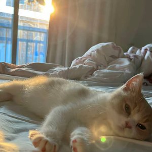 夏哲轩-玫红色外套（Tizk remix）