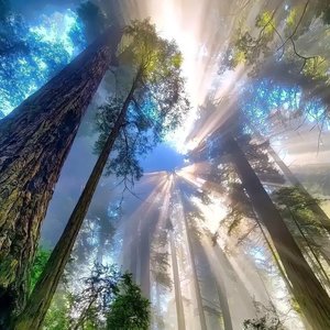 生态脉冲生物声景