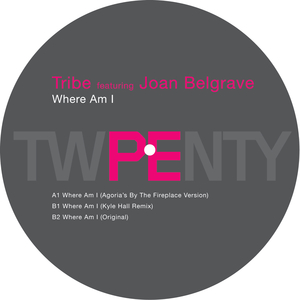 Where Am I (Kyle Hall Remix)