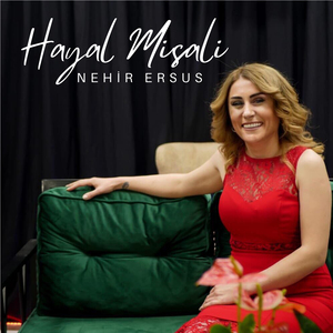 Hayal Misali