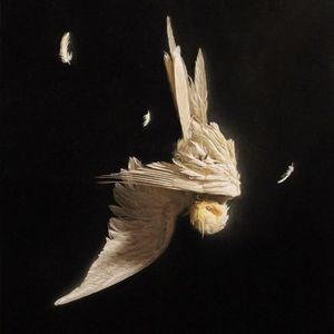 [FREE] ''SOS' Asen艾志恒 x GALI Type Beat