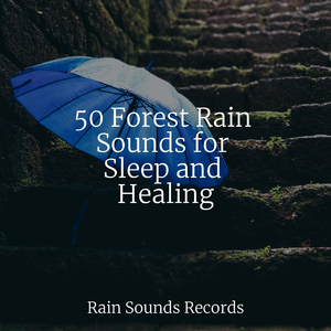 City Rain, Bolts, Cement