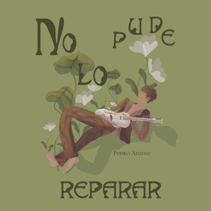 No Lo Pude Reparar