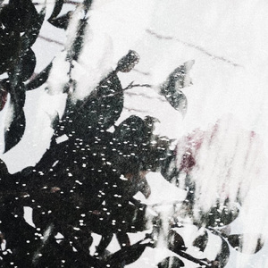 黄色い線の内側に