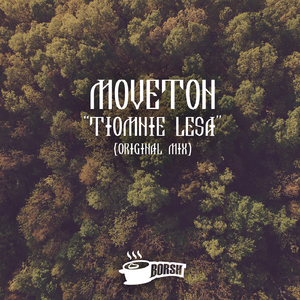 Tiomnie Lesa (Original Mix)