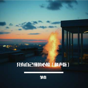 只有自己懂的心酸（和声版）