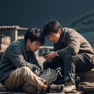你风华正茂 (Cover 灯叔)