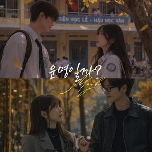 Maybe (운명일까) (feat. Arily)