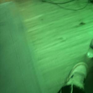 Bamboo