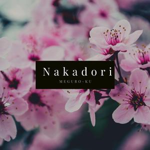 Nakadori