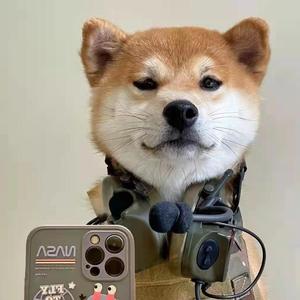 青玉案 元夕升F调