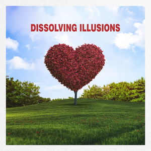 Dissolving Illusions