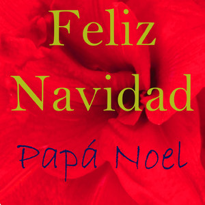Navidad Dance