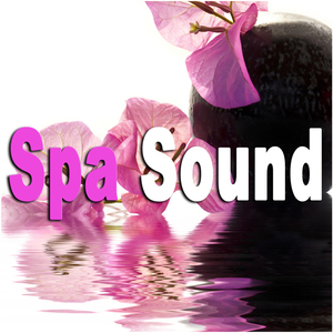 Soft Spa Wellness