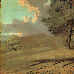 Instagram Famous Cat